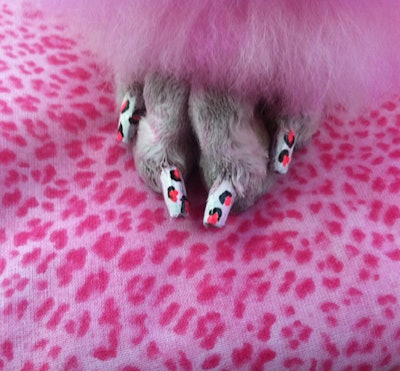 Pink dog nail polish outlet
