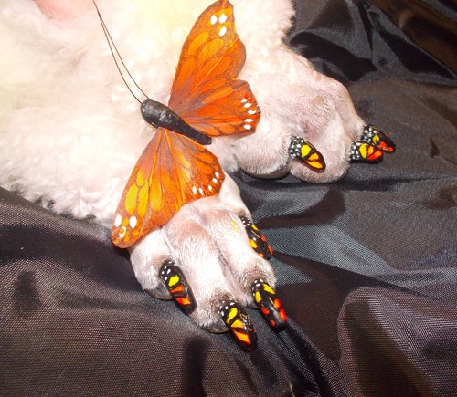 Nail Art Pens For Dogs Nailpro