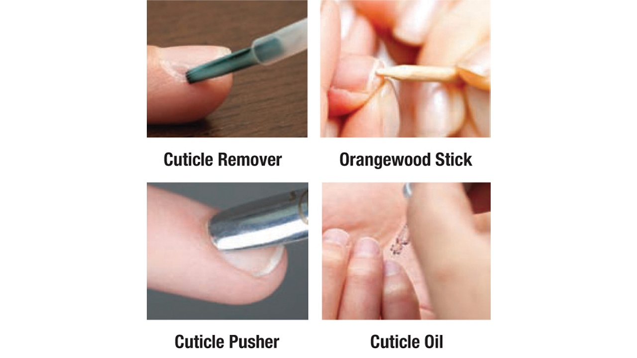 Cuticle Guide Parts Of A Cuticle And How To Take Care Of Them Nailpro Cuticle Guide Parts Of A Cuticle And How To Take Care Of Them Nailpro