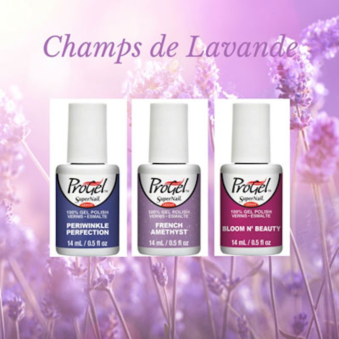 NP-Champs-de-Lavande-Feature