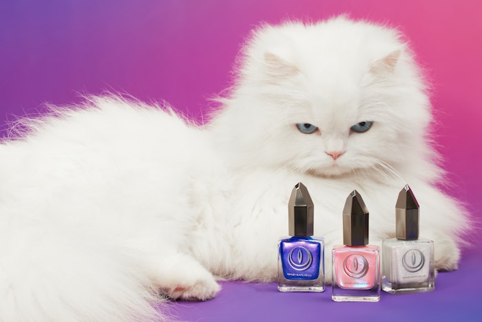 Learn more about mooncat's newest spring shades and how they are helping cats find their forever homes.